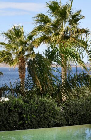 anax_mykonos_resort_exclusive_suite_private_pool (2)