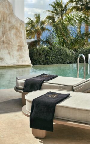 anax_mykonos_resort_exclusive_two_bedroom_pool_side_sea_view (1)