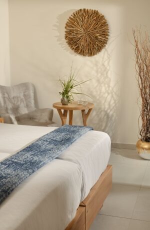 anax_mykonos_resort_exclusive_two_bedroom_pool_side_sea_view (13)