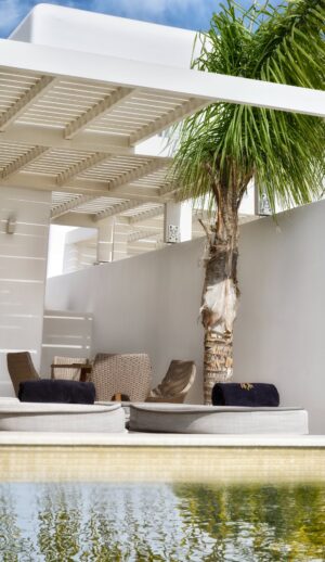 anax_mykonos_resort_luxury_suite_private_pool (2)