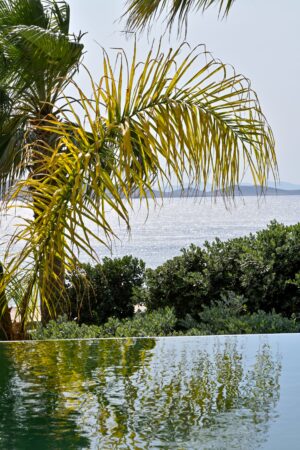 anax_mykonos_resort_luxury_suite_private_pool (3)