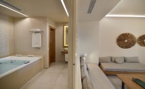 anax_mykonos_resort_anax_suite_private_pool (4)