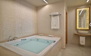 anax_mykonos_resort_anax_suite_private_pool (9)
