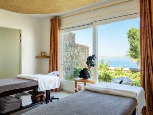 anax_resort_spa_mykonos_gios_ioannis_diakoftis_wellness_fitness_beauty (12)